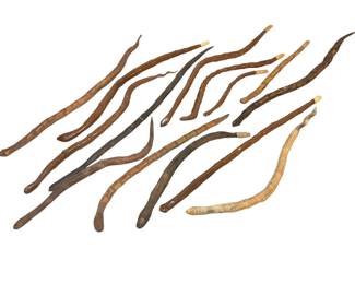 Collection Early 290th C Folk Art Snakes,Texas 