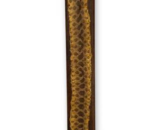 Pine Snake Snakeskin Taxidermy 1977