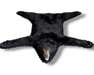 Full Body Black Bear Taxidermy Rug, 5 FT