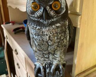 103 dalengreathornedowldecoy