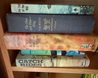 Collection of Classic Novels