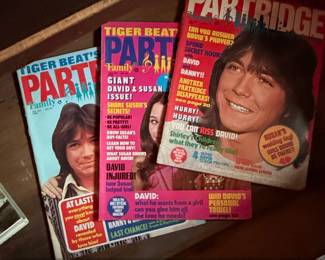 Tiger Beats Official Partridge Family Magazine Lot  Issues