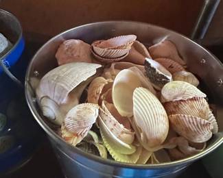 Assorted Seashells in Galvanized Metal Pail