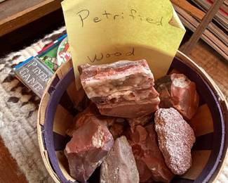 Petrified Wood Specimens