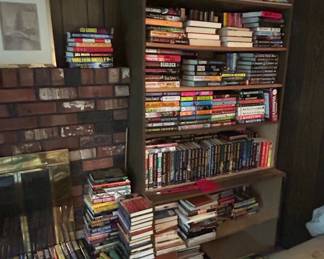 Collection of Thriller and Mystery Novels