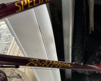 Rock Hopper Spelialized bicycle