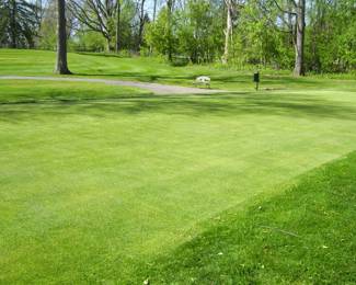 5th Tee