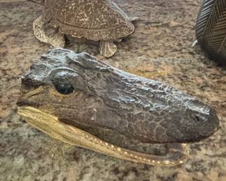 Alligator Head and Turtle Display Set