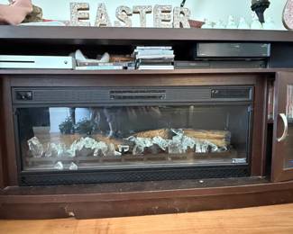 Electric Fireplace Insert