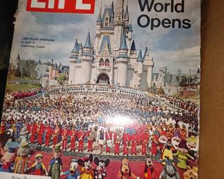 Walt Disney World Life Magazine