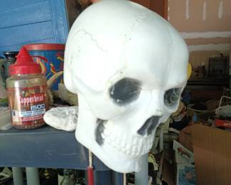 Skull decoration