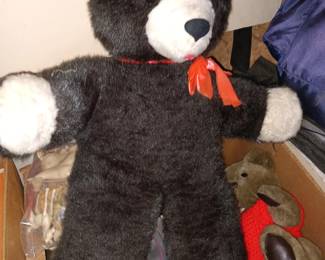 All Kinds of Teddy Bears