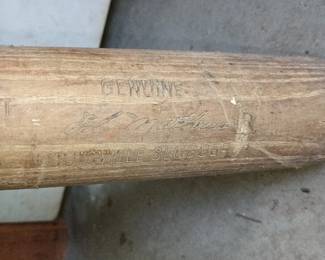 More of the Wake Bat