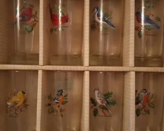 Bird Glasses