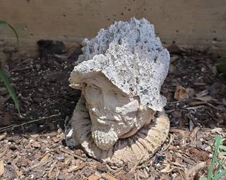 Ceramic Head