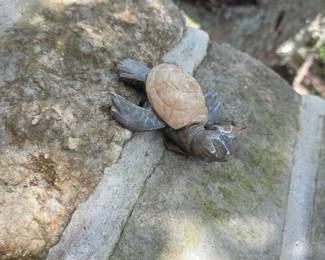 Carved Stone Turtle Statue