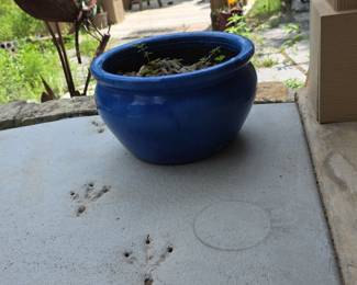 Blue Ceramic Planter