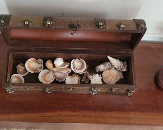 Decorative Wooden Treasure Chest with Assorted Seashells
