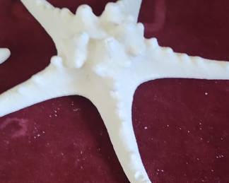 White Knobby Starfish Decorative Object