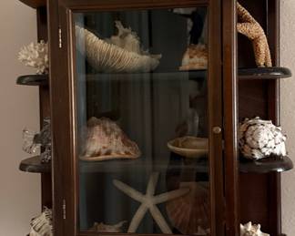 Vintage Wall Curio Cabinet with Seashell Collection