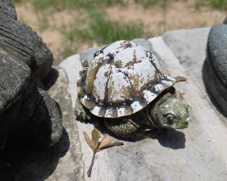 Decorative Turtle Figurine