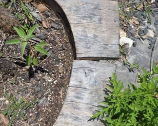 Vintage Wooden Trough Planter with Ornate Brass Feet