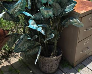 Artificial Caladium Plant with Blue-Green Variegation in Wicker Basket with Lights