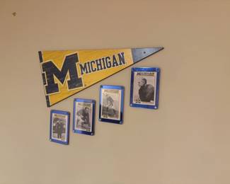 . . . Michigan pennant