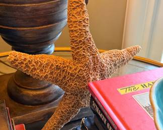 Large starfish and shell collection
