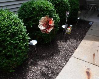 1131Back Yard