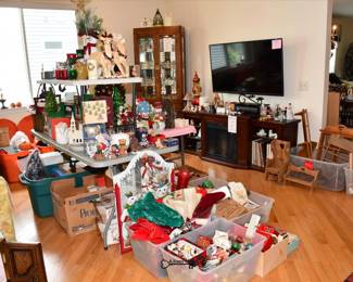 0462Family Room
