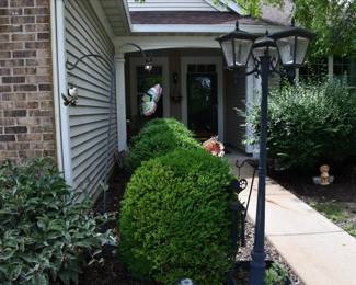 1129Back Yard