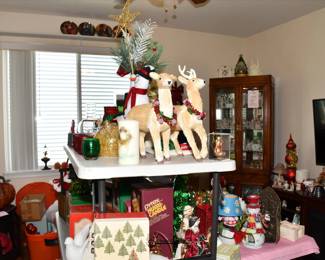 0418Family Room