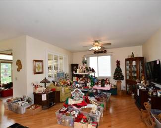 0383Family Room