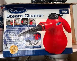 Perfection Steam Cleaner