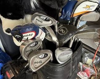 PING Golf Club Set with King Cobra Driver