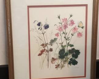 Watercolor Painting of Columbine Flowers by Annabelle Stone