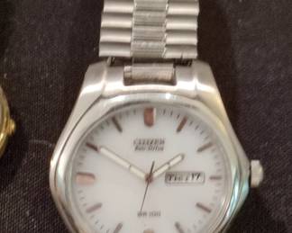 Citizen EcoDrive WR DayDate Watch