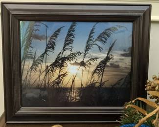 Framed Oil Painting of Sea Oats at Sunset by Robertson