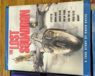 The Lost Squadron by David Hayes