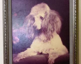 Dog Portrait