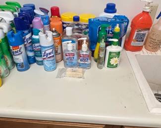 Assorted Household Cleaning and Sanitizing Products