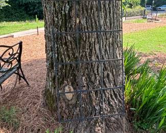 Wrought Iron Garden Trellis