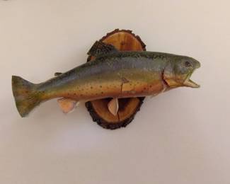 Taxidermy Brown Trout Mount