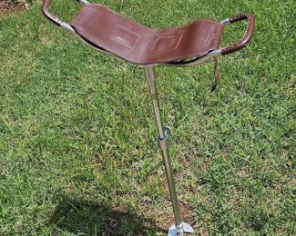 Portable seat and walker