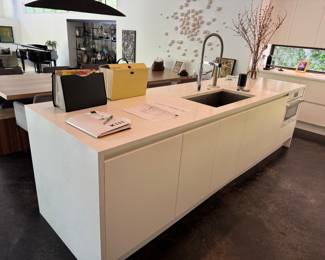 Stunning Contemporary Demolition Sale