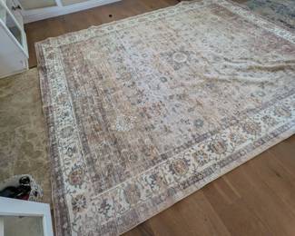 Gorgeous rug 10 ft x 8 ft