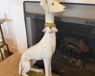 Whippet (close)
