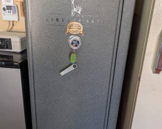 Gun safe