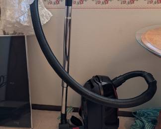 Canister vacuum